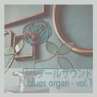 Liverpool Sound-blues organ- vol.1