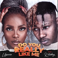 Do You Really Like Me (feat. KolaBoy) [Remix] - Single - Ugoccie
