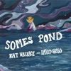 Somes Pond (feat. Max Allard, Joe K. Walsh, Mark Kilianski, Mike Block, Bronwyn Keith-Hynes & Mike Marshall) - Single