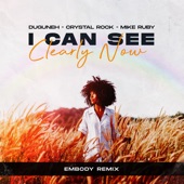 I Can See Clearly Now (feat. Mike Ruby) [Embody Remix] artwork
