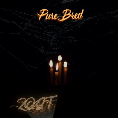 Lost (feat. PB Sinr & sdubs) - Single