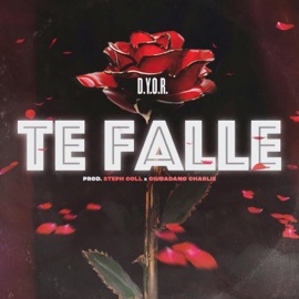 Te Fallé Dyor & dynamic frequency