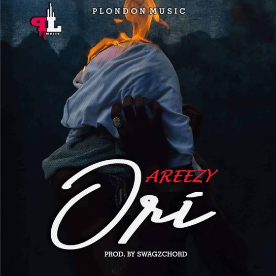 Cover artwork for Ori