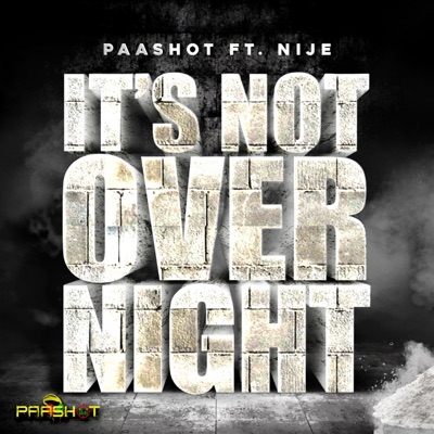 It's Not Overnight - Single