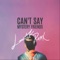 Can't Say (Lunartick Remix) - Mystery Friends lyrics