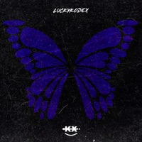 K1000a - Single - LUCKYKODEX