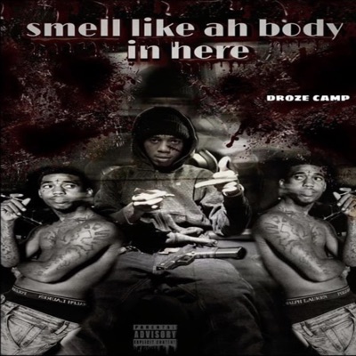 Smell Like a Body In Here