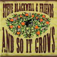 Amazing Grace — Steve Blackwell