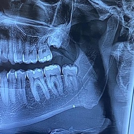 Precious Lord Take My Hand Taylor Beau