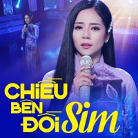 Chiều Bên Đồi Sim - Hoàng Hải