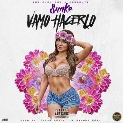 Vamo hacerlo - Single