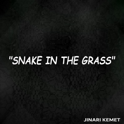 Snake In the Grass - Single