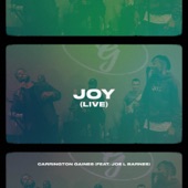 Joy (Live) artwork