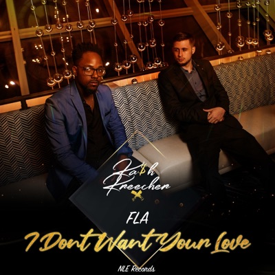 I Dont Want Your Love (feat. Ka$h Kreecher) - Single