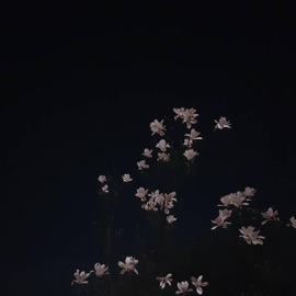 All I Had Left (feat. Kais) CxldKid