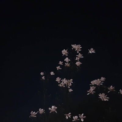All I Had Left - Single