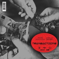 Transactions (feat. Amk) - Single - Paulem