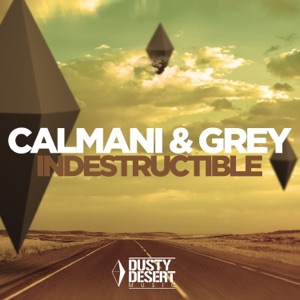 Indestructible - EP