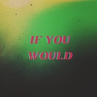 If You Would - Single - Daniel Hardin
