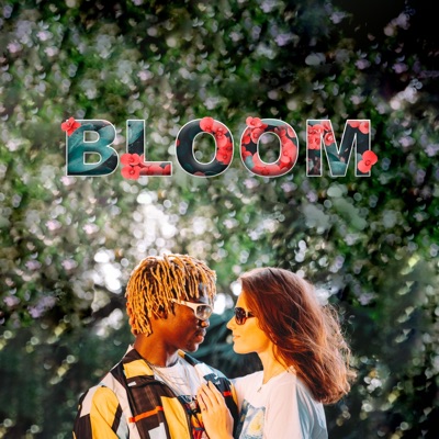 Bloom - Single