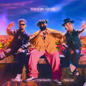 Forever Never (feat. Swae Lee & Pink Sweat$) - Single