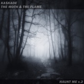 Haunt Me V.2 artwork