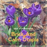 Brisk and Calm Utopia - Rain Atmospheres & Rain Sounds Factory STHLM