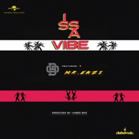 Issa Vibe (feat. Mr Eazi) - Single - BGMFK