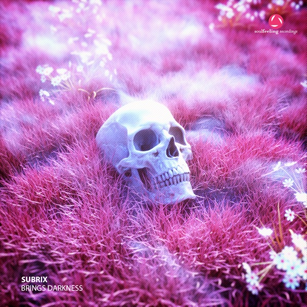 Brings Darkness - EP