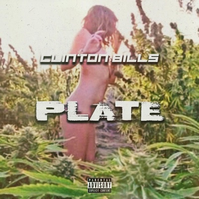 Plate - Single