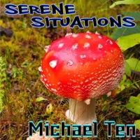 Serene Situations - Single - Michael Ten