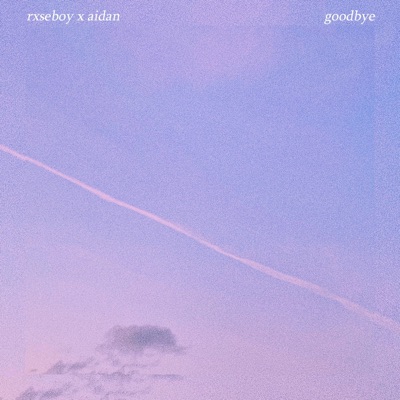 Goodbye - Single