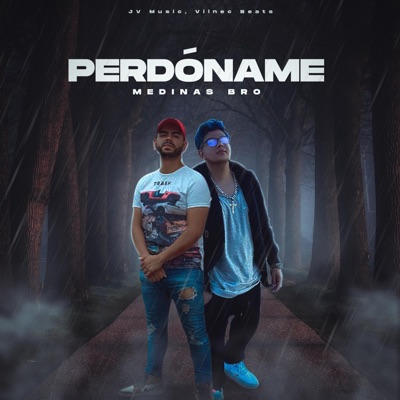 Perdóname - Single