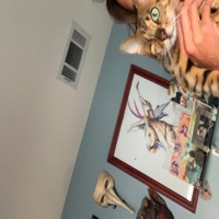 Cad - Single - Cam Steen