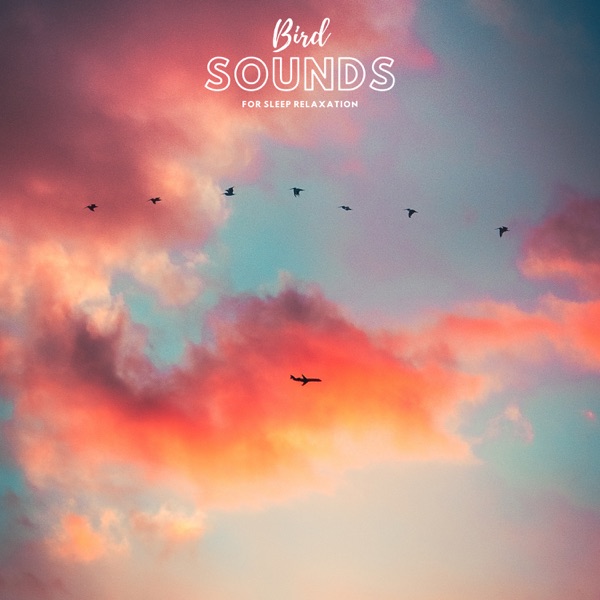 Bird Sounds For Sleep Relaxation - Single