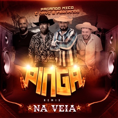Pinga na Veia (feat. Davi e Fernando) [Remix] - Single