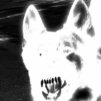 Insane - Single - Viizzi