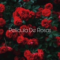 Película De Rosas - Single - K.BeaTtZz & Malek