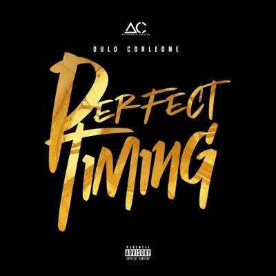 Perfect Timing - Single