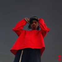 2 Big Blunts - Single - Binyam