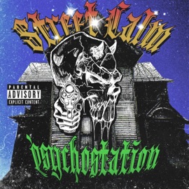 STREET CALM PSYCHOSTASION