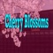 Cherry Blossoms - Kim Carter lyrics