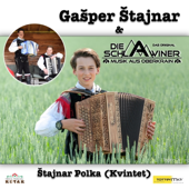 Stajnar Polka (Kvintet) [Re-recording]