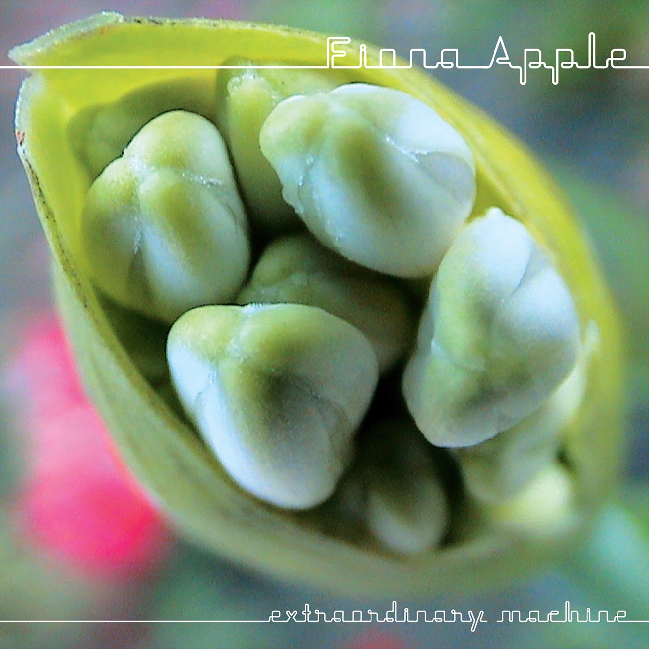 Fiona Apple – Extraordinary Machine (2005) [iTunes Match M4A]