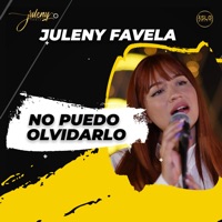No Puedo Olvidarlo - Single - Juleny Favela