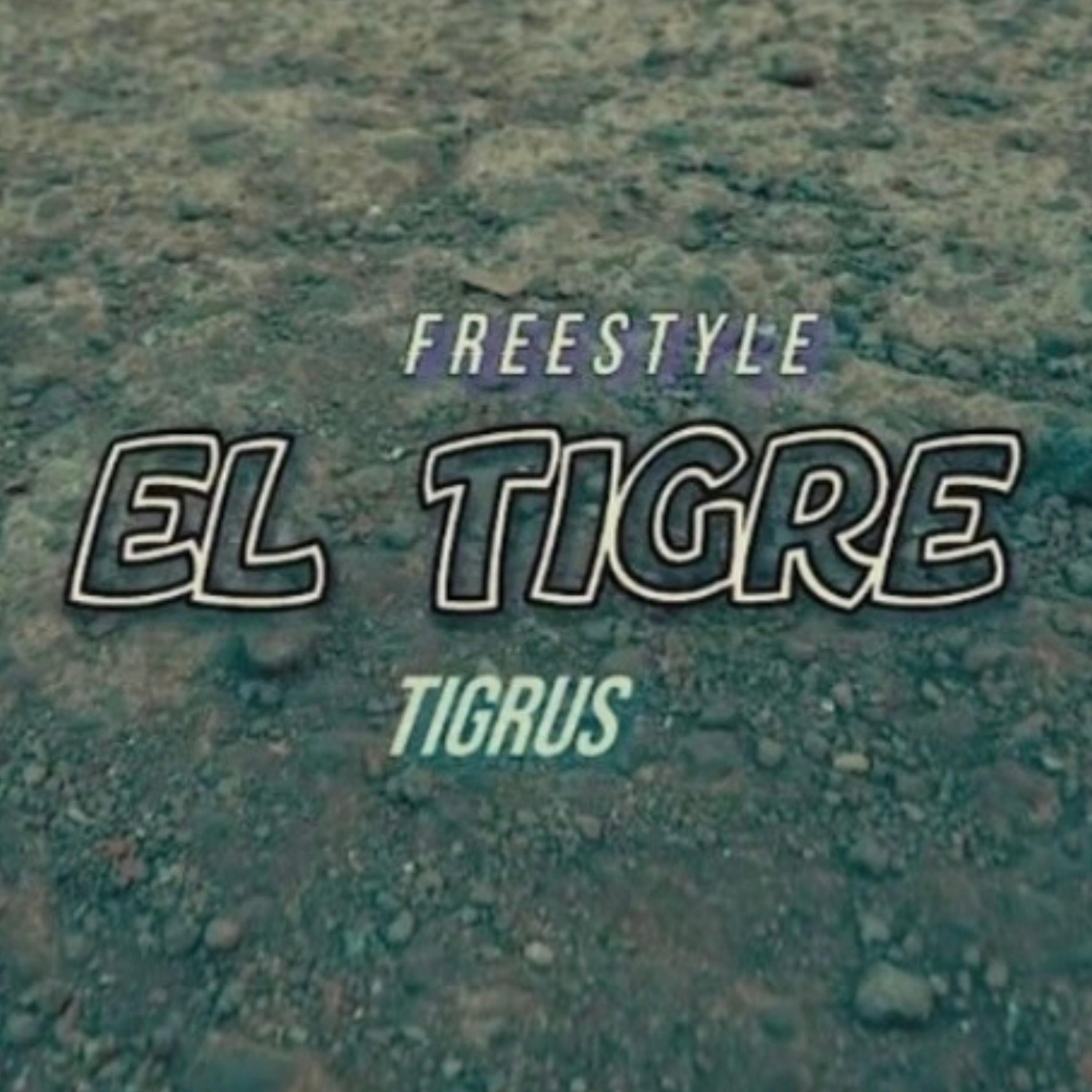 El Tigre #1 - Single