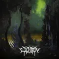 Radix Verum