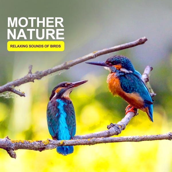 Mother Nature - Relaxing Sounds of Birds - EP