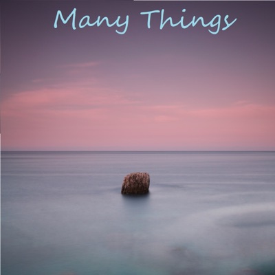 Many Things - Single
