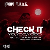 Check It Yo, Yoo, Yooo! (feat. V12 THE BLAQ SINATRA) artwork